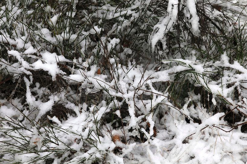 Thaw by Thomas Jäger