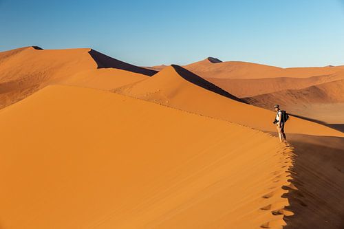 Zandduinen in de Namibwoestijn