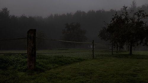 Schemerlandschap