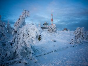 Brockengipfel im Winter