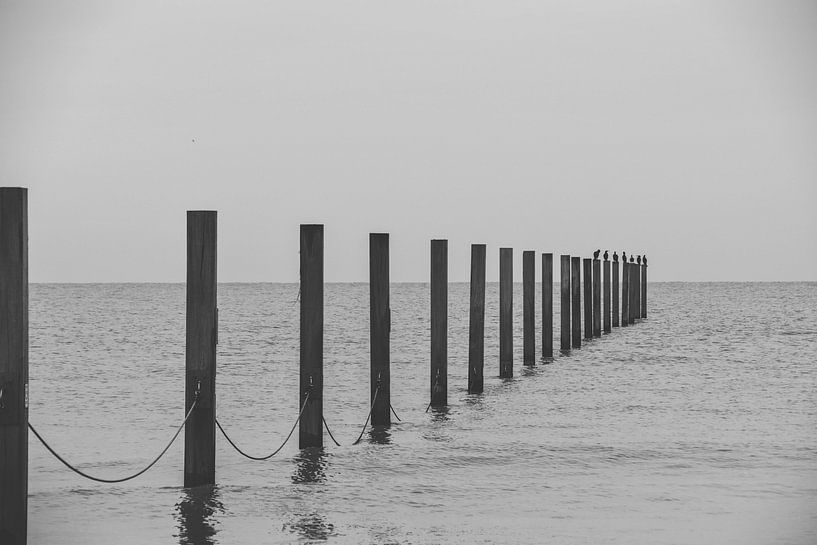 Beach Posts by Driek Steegmans