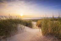 Duin en strand