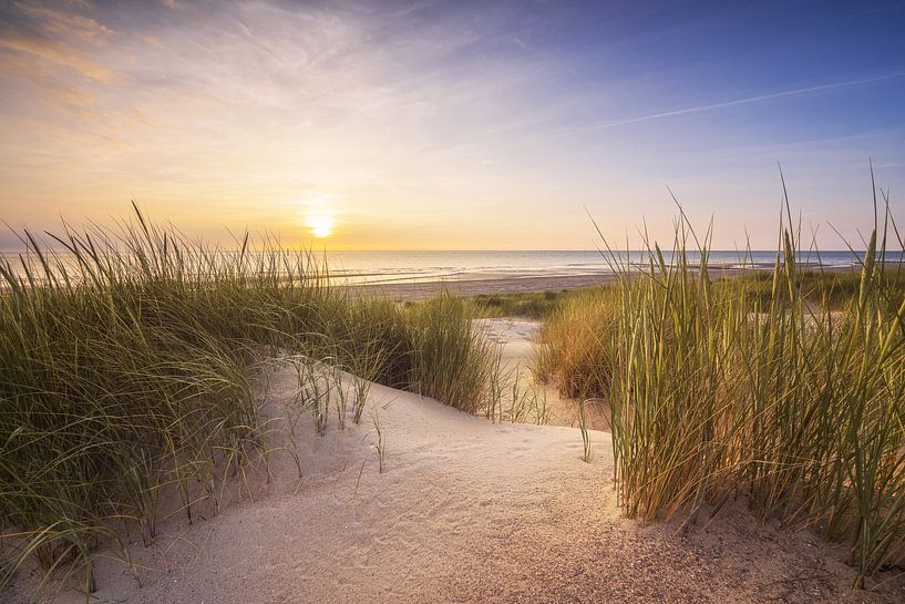 Tuinposter 120x180 cm Strand - Zee - Nederland - Duinen - Zon | Leen Bakker