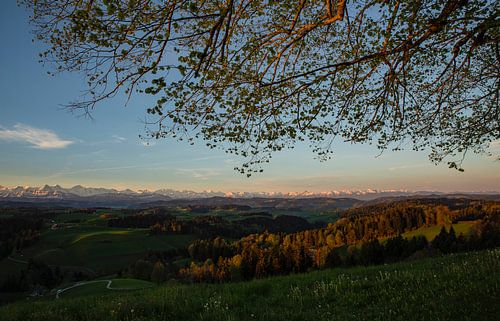 Uitzicht op het Emmental en de Berner Alpen vanuit Lueg Affoltern