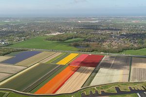 Luchtfoto bollenvelden bij Heiloo van aerovista luchtfotografie