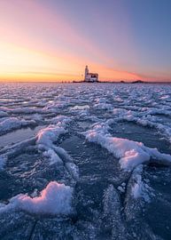 Pferd von Marken von Jeroen Linnenkamp
