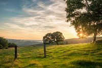 Gentle Fields