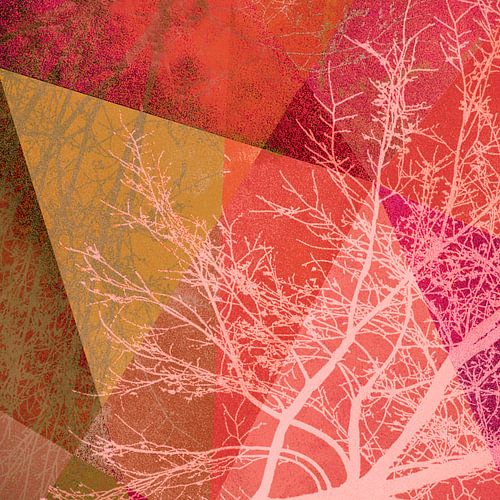 P19-C3 BOMEN EN DRIEHOEKEN