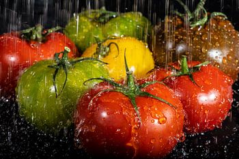 red, green, yellow and brown tomatoe under raining water