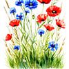 Entre les coquelicots rouges, les bleuets et les tiges (3 de 3) sur AidasignArt