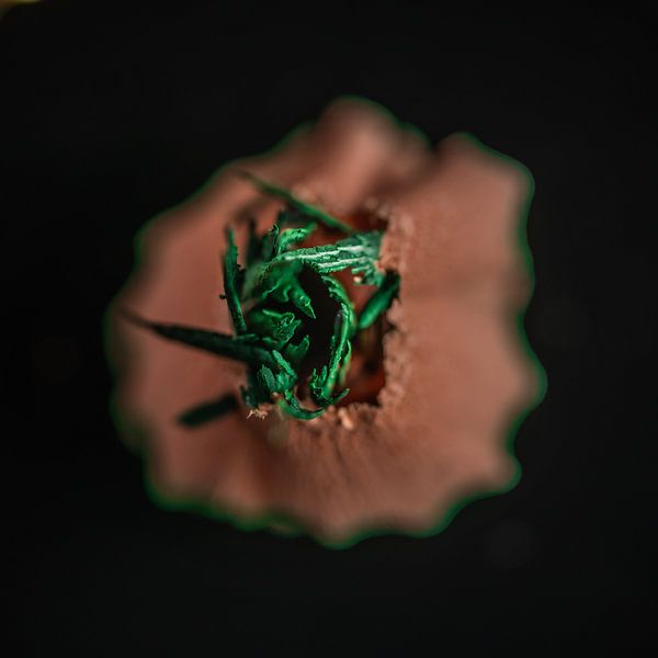 grün von Paquita Six