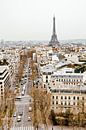 Uitzicht op Eiffeltoren vanaf Arc d'Triomph, Parijs, Frankrijk -Reisfo van Dana Schoenmaker thumbnail