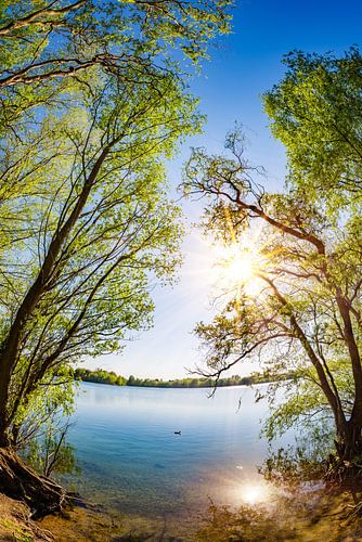 Ein Sommertag am See