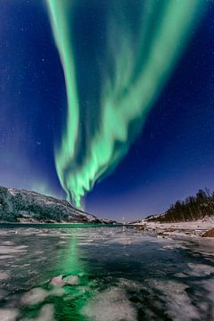 Noorderlicht in de nachtelijke hemel boven Noord-Noorwegen van Sjoerd van der Wal Fotografie