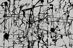 Stedelijk Pollock 1 van Georgia Chagas