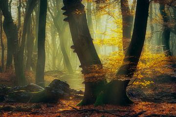 Herbst im Märchenland von Ellen Borggreve