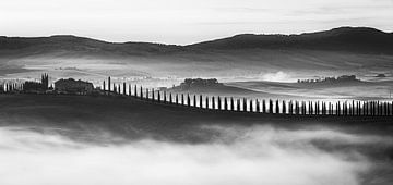 Zonsopkomst in zwart-wit bij Poggio Covili, Toscane, Italië van Henk Meijer Photography