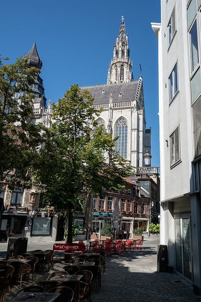 Cathedral and terraces in Antwerp by Mickéle Godderis