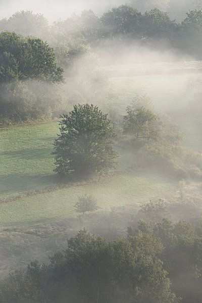 Neblige Tage von Marieke Urlings Photography