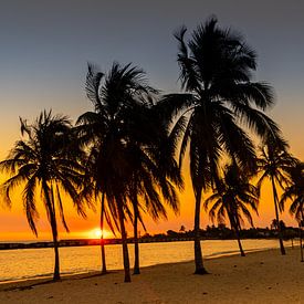 Sonnenuntergang in der Karibik von Mark van Harlingen