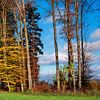Farbenfrohe Herbstlandschaft von Stefan Heesch