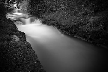 Un ruisseau dans la forêt sur Daniel Osthues