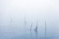 Fishing nets in the wadden sea at the afsluitdijk