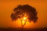 Sunrise (landscape)