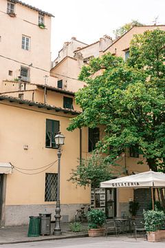 Gelateria Lucca | Photo Print Toscane | Italie photographie de voyage sur HelloHappylife