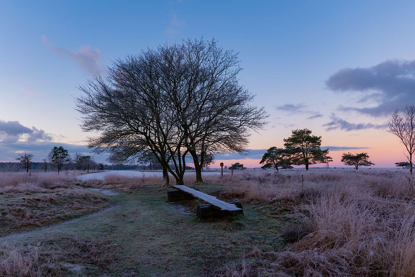 koude billen van snippefotografie