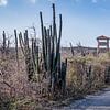 Landschap bij Sint Willibrordus, Curaçao. van Jaap Bosma Fotografie