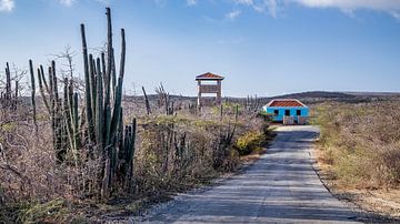 Landschaft auf Sint Willibrordus, Curaçao. von Jaap Bosma Fotografie