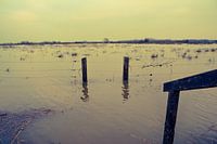 hoogwater aan  de lek bij Culemborg 