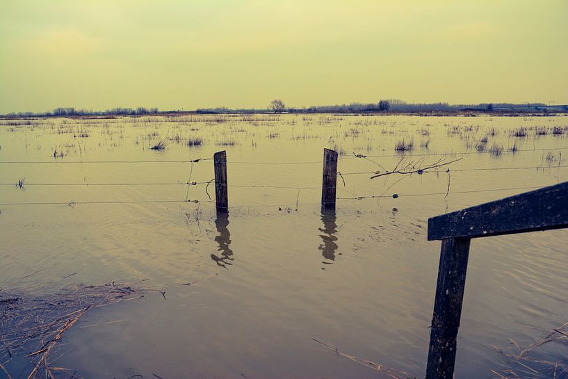 hoogwater aan  de lek bij Culemborg  by Jeroen Tiggelaar