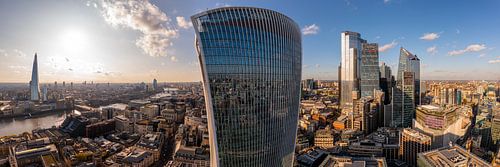 Panorama de la ville de Londres sur Henrik Gudermann