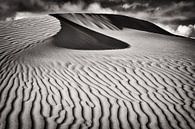 Dunas de Maspalomas par Alexander Voss Aperçu