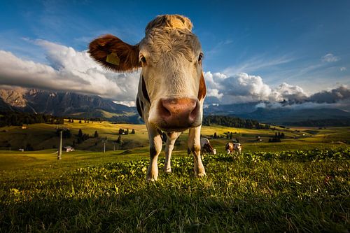 Seiser Alm