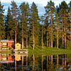 reflet de la forêt de pins et de la maison de vacances en bois dans un lac suédois sur Jan Fritz