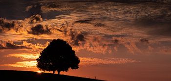 Morgenröte in Oberbayern