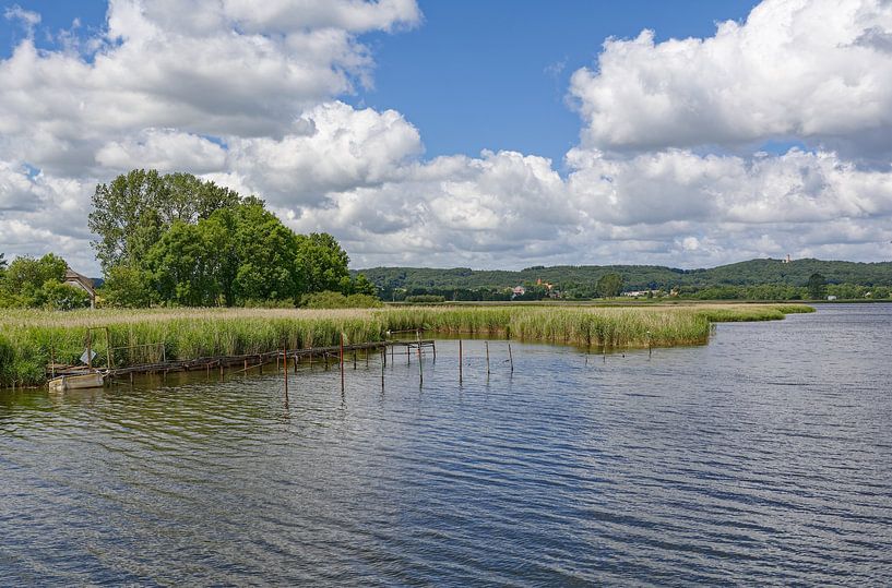 am Neuensiener See nahe Sellin,Insel Rügen von Peter Eckert