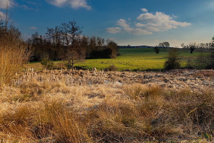 weids uitzicht op het Heuveland in het voorjaar in Mechelen, Limburg van Kim Willems