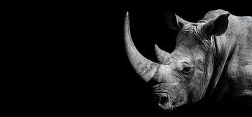 The strong rhinoceros on a black background by MADK