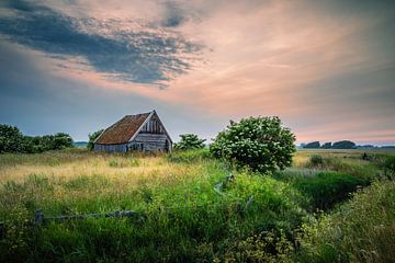 The barn by John Goossens Photography