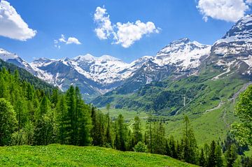 Alpen in Österreich im Frühling
