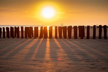 strandpalen bij zonsondergang van Eugenlens