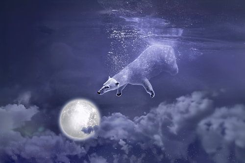 Surrealistische Nacht: Majestueuze IJsbeer Zwemt in Sterrenhemel boven Kerk