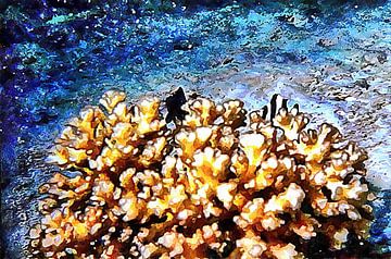 Vis en koraal Cluster 1 van Dorothy Berry-Lound