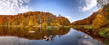 Herfstsfeer bij een rivierbocht van Thomas Rieger