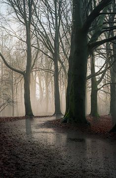 Hemmensebos Teil 64 von Tania Perneel