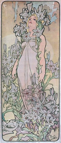 Woman, drawn with flower (lily) - Alphonse Mucha, 1898 by Atelier Liesjes